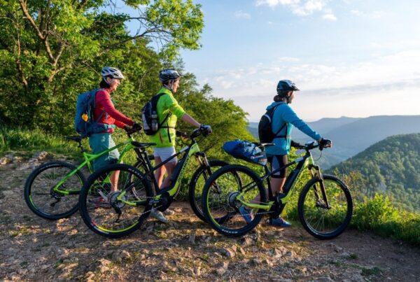 Bild von drei Fahrradfahrerinnen, die die Aussicht ins Donaubikeland genießen