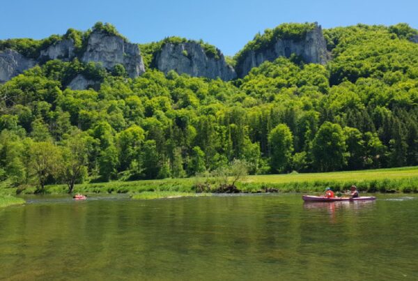Themenbild von Kanufahrern auf der Donau im Hintergrund sind saftig grüne Wiesen, grüne Bäume und Felsen vor strahlend blauem Himmel zu sehen