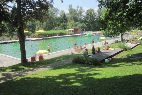 Bild mit seitlichem Blick auf das Schwimmerbecken in der Troase eingefasst mit Bäumen und wenigen Personen im Wasser und auf der grünen Liegewiese