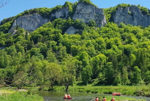 Bild von Paddlern auf der Donau mit Bäumen und Felsen im Hintergrund