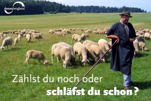 Donaubergland Postkartenmotiv mit Schäfer, der im Stehen an seinen Hirtenstab gestützt vor seiner Schafherde schläft.