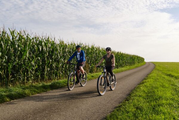 Themenbild mit zwei Radfahrern auf einem Radweg, links eingefasst von einem Maisfeld und rechts von einer grünen Wiese