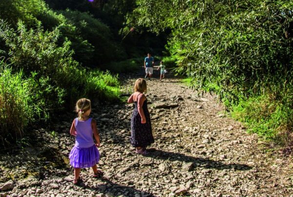 Bild an der Donauversickerung mit einem Vater und seinen 3 Kindern auf einem Schotterweg und seitlich sind Büsche und Wiesen zu sehen.