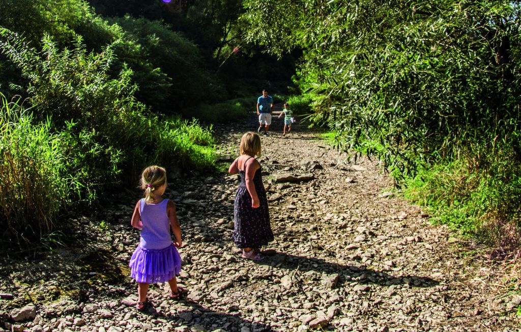 Picture at the Danube seepage with a father and his 3 children on a gravel path and bushes and meadows can be seen to the side.