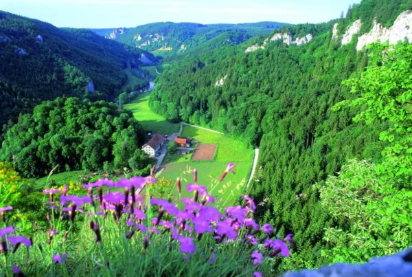 Bild vom Ausblick von der Ruine Kallenberg ins Tal mit Gehöft und bewaldeten Hängen