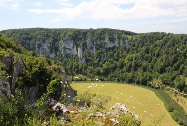 Bild vom Schaufelsen im Donaubergland ins Tal mit Flusslauf und bewaldeten Felsen im Hintergrund
