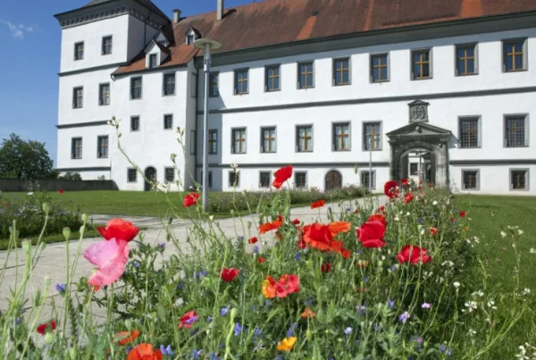 Bild vom Schloss in Meßkirch mit einem Mohnblumenbeet im Vordergrund