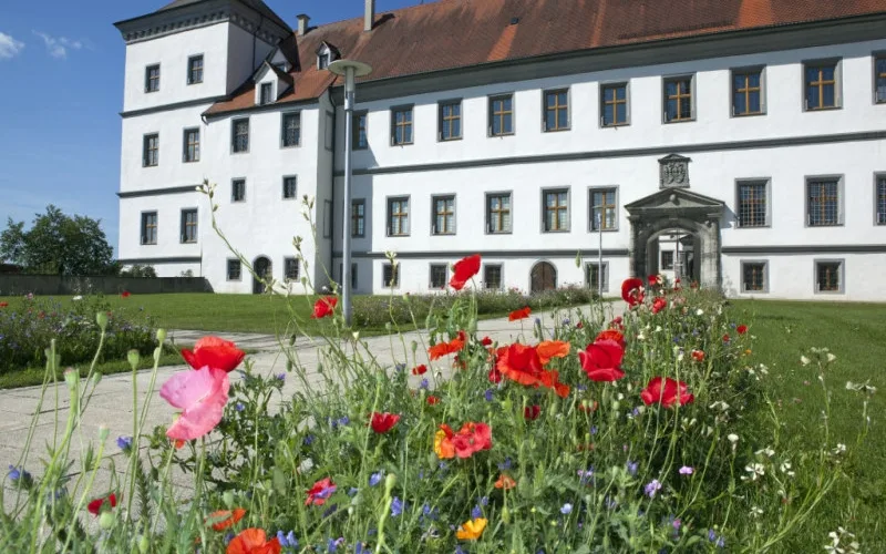 Bild vom Schloss in Meßkirch mit einem Mohnblumenbeet im Vordergrund