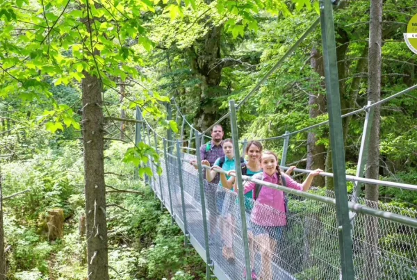 Bild von einer vierköpfigen Familie auf einer Hängebrücke