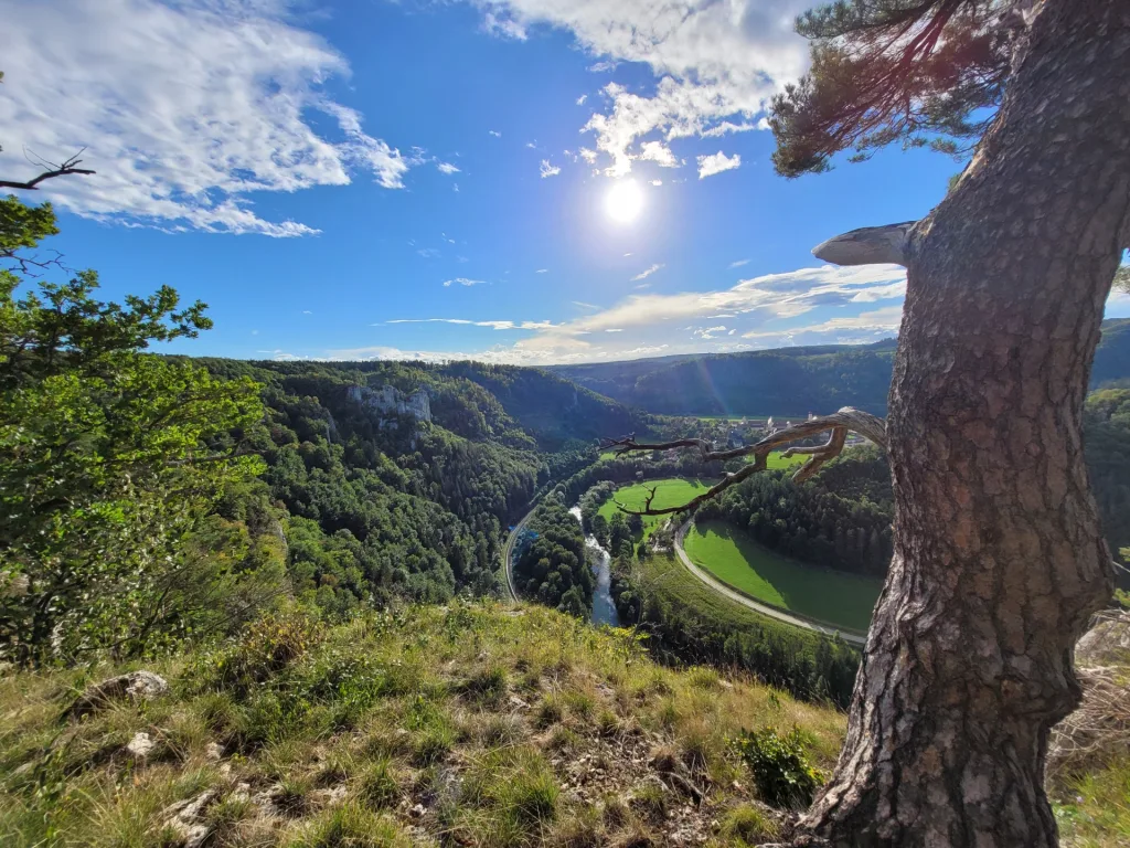 Bild auf eine Landschaft mit Wiesen, Felsen, Bäumen, blauem Himmel und Sonnenschein