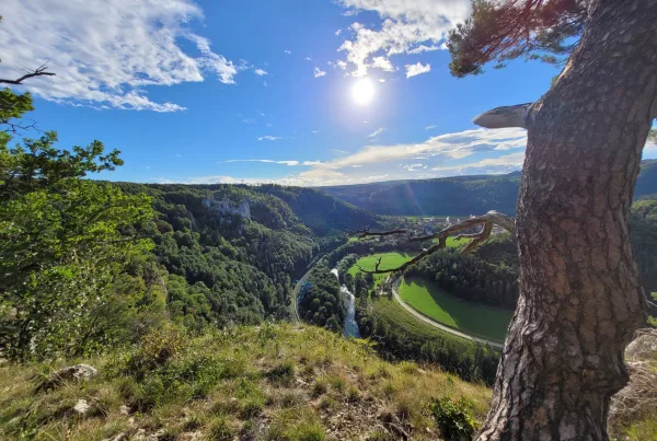 Bild auf eine Landschaft mit Wiesen, Felsen, Bäumen, blauem Himmel und Sonnenschein