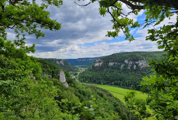 Bild mit Blick auf den Naturpark Obere Donau mit Flusslauf, Felsen und bewaldeten Flächen