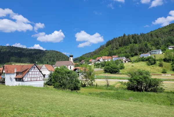 Bild von der Gemeinde Reichenbach von Wiesen und Bäumen umgeben