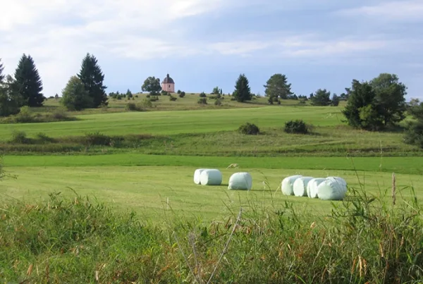 Bild von einer grünen Wiese, mit Kapelle im Hintergrund, verpackten Heuballen im Vordergrund und vereinzelten Bäumen