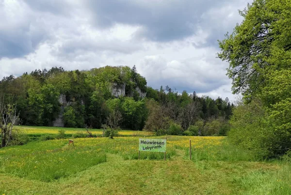 Aktionstag Heuwiesen Naturpark Obere Donau