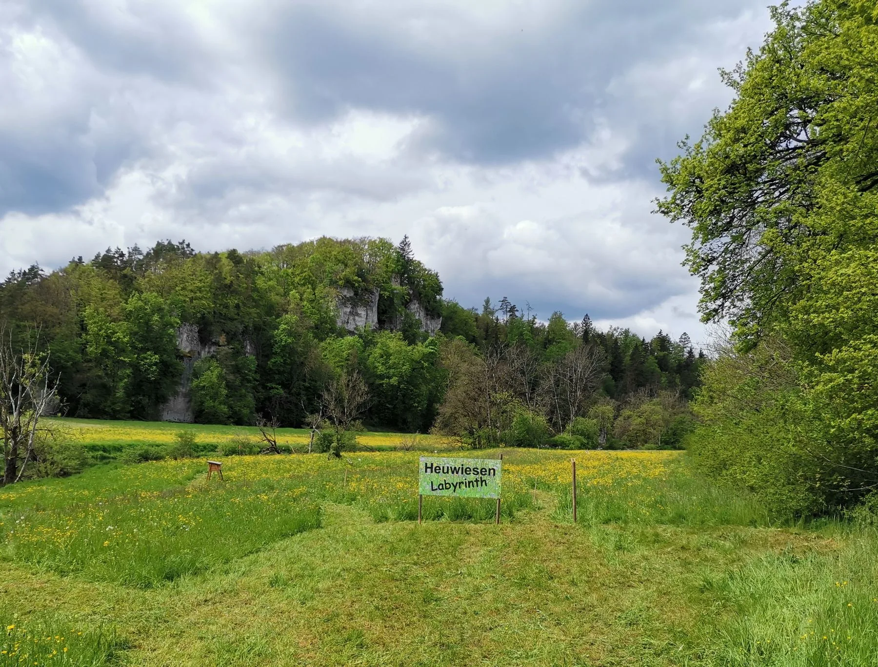 Aktionstag Heuwiesen Naturpark Obere Donau