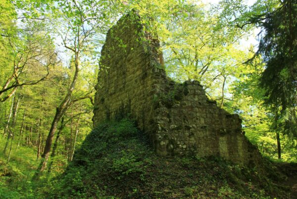 Ruien Krafstein bei Mühlheim an der Donau