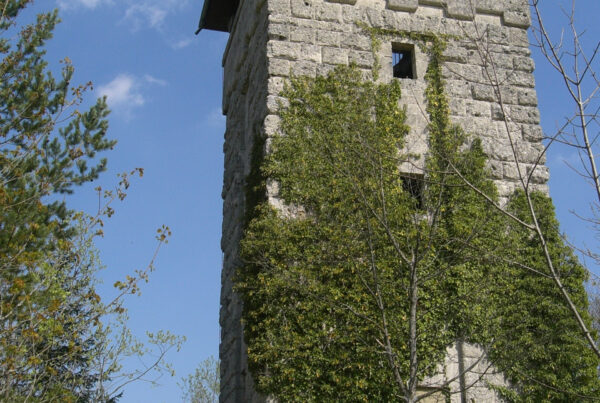Der Gansnestturm bietet eine Rundumsicht über den Naturpark "Obere Donau".