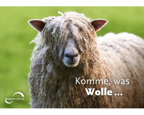 Komme, was Wolle